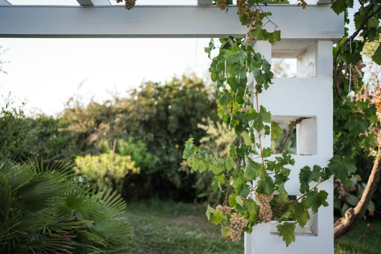 Prestigiosa Villa Con Piscina Condominiale Monopoli Buitenkant foto